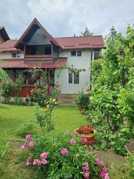 Falticeni, jud Suceava