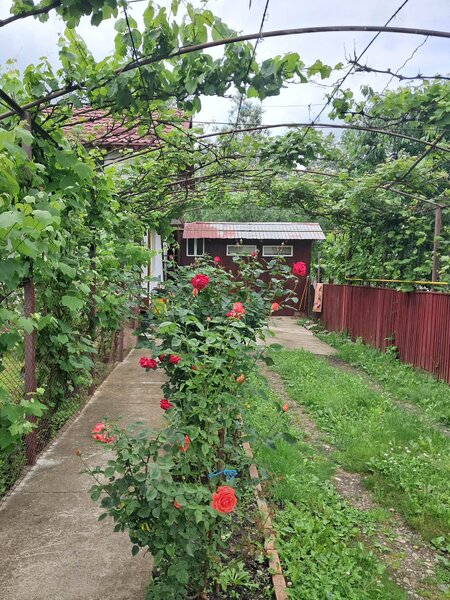 Falticeni, jud Suceava