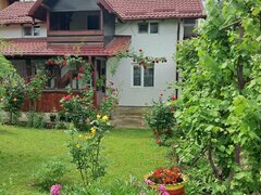 Falticeni, jud Suceava