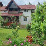 Falticeni, jud Suceava